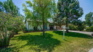 View of property hidden behind natural elements featuring a front yard