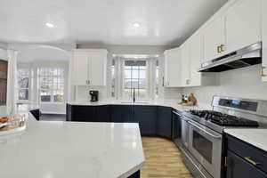 Kitchen with under cabinet range hood, plenty of natural light, stainless steel range with gas stovetop, and a sink