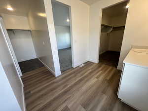 Spacious closet featuring dark wood finished floors and a sink
