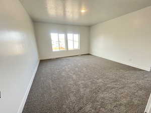Empty room featuring a textured ceiling, baseboards, and carpet floors