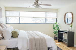 Bedroom featuring multiple windows, baseboards, light wood-type flooring, and a ceiling fan