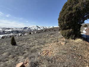 View of yard featuring a mountain view