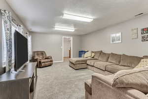 basement family room