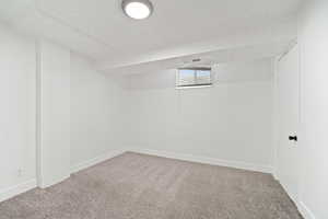 Below grade area featuring carpet flooring and visible vents