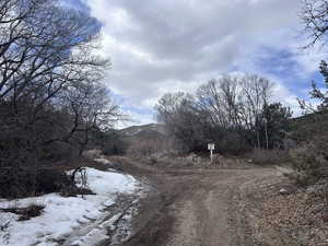 View of road