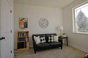 Bedroom or office featuring carpet flooring and plenty of natural light