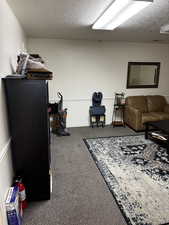 Living area featuring carpet, baseboards, and a textured ceiling