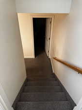Stairway with baseboards and carpet
