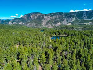 Property view of mountains with a view of trees and a water view