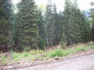 View of landscape with a view of trees