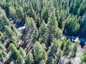 Bird's eye view with a forest view