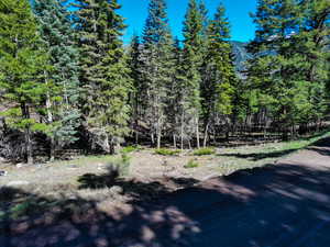 View of landscape featuring a forest view