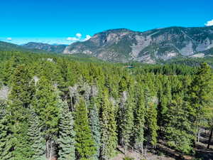 Property view of mountains with a forest view