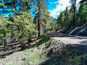 View of road featuring a view of trees