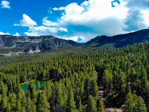 View of mountain feature featuring a wooded view