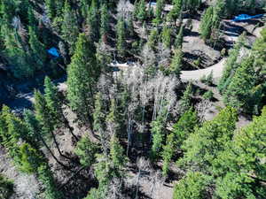 Drone / aerial view featuring a view of trees