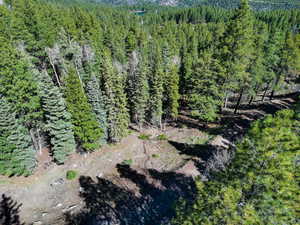 Bird's eye view with a wooded view