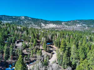 Aerial view featuring a view of trees and a mountain view