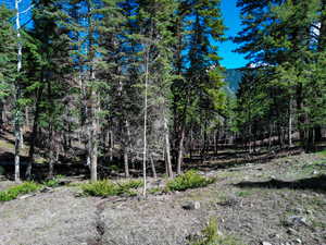 View of landscape with a wooded view