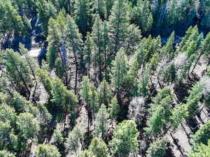 Birds eye view of property featuring a view of trees
