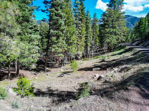 View of landscape featuring a forest view