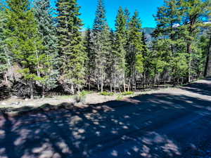 View of road with a view of trees