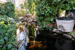 View of koi pond in backyard with abundant gardens.