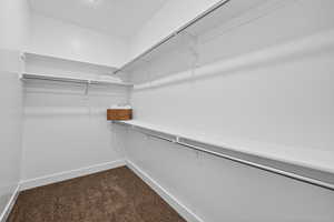 Spacious closet with dark colored carpet