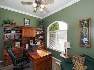 Office space featuring a ceiling fan, baseboards, carpet floors, and ornamental molding