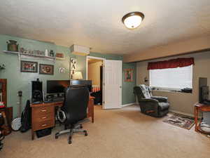 Home office with carpet flooring, baseboards, and a textured ceiling