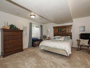 Bedroom with visible vents, light colored carpet, baseboards, and a textured ceiling