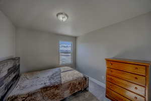 Bedroom featuring baseboards and carpet floors