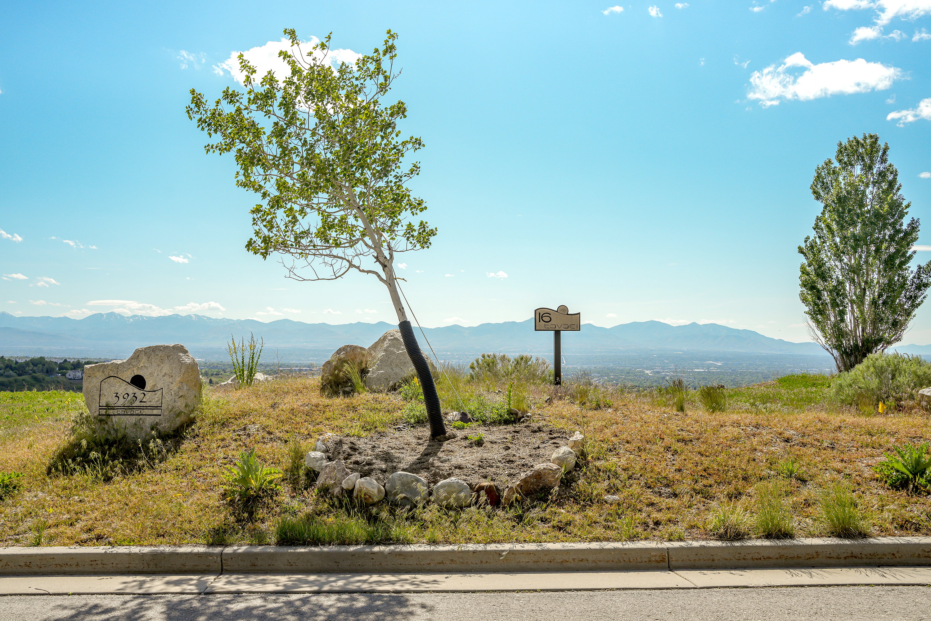 Mountain view