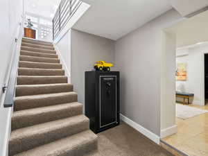 Stairs to lower level - mudroom