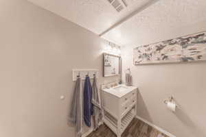 Bathroom with vanity, wood finished floors, baseboards, visible vents, and a textured ceiling