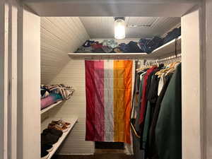 Walk in closet featuring vaulted ceiling