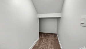 Spacious closet featuring carpet