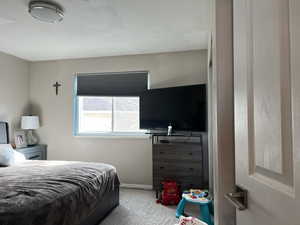 Bedroom featuring baseboards and carpet flooring