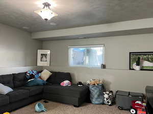 Living room with carpet, visible vents, and a textured ceiling