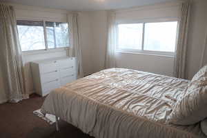 Bedroom featuring multiple windows and carpet