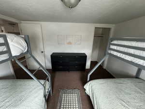Carpeted bedroom with a textured ceiling and a closet
