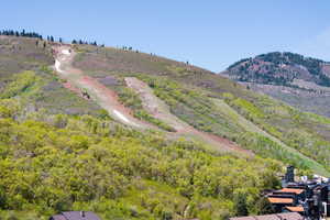 View of mountain backdrop featuring a forest