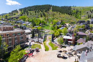 Aerial perspective of suburban area with a forest