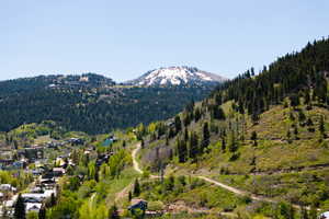View of mountain background featuring a forest