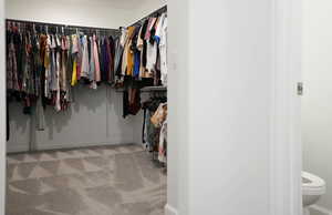 Spacious closet featuring carpet