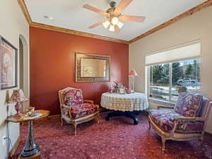 Living area featuring carpet flooring, baseboards, crown molding, and a ceiling fan