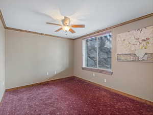 Empty room featuring baseboards, a ceiling fan, carpet, and ornamental molding