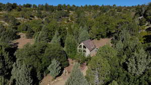Bird's eye view featuring a wooded view