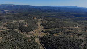 Bird's eye view with a wooded view and a mountain view