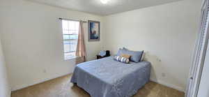 Bedroom featuring carpet flooring, multiple windows, a textured ceiling, and baseboards